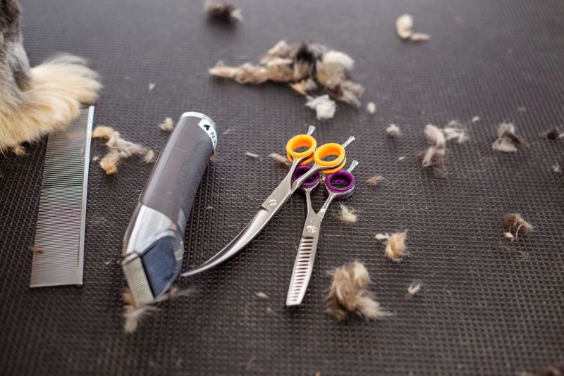 Dog receiving careful nail clipping at Luxe paws