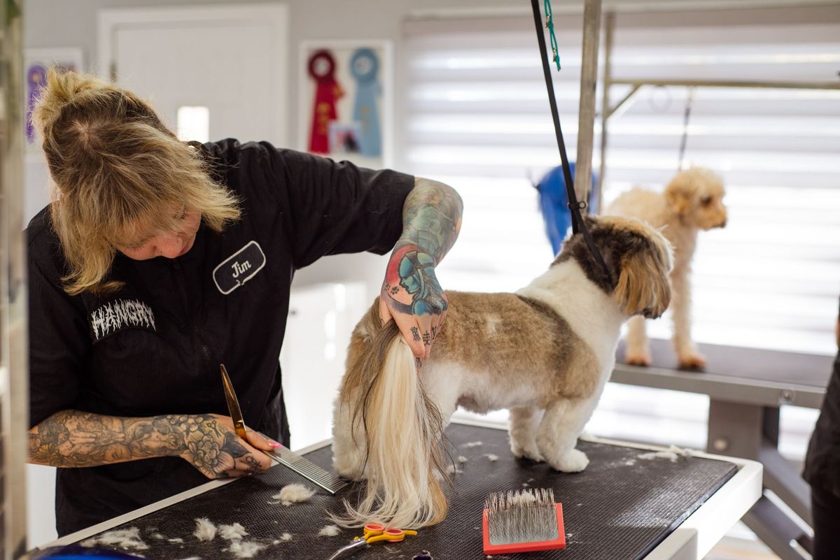 Groomer carefully clipping a dog's nails at Luxe paws in Mt Hope