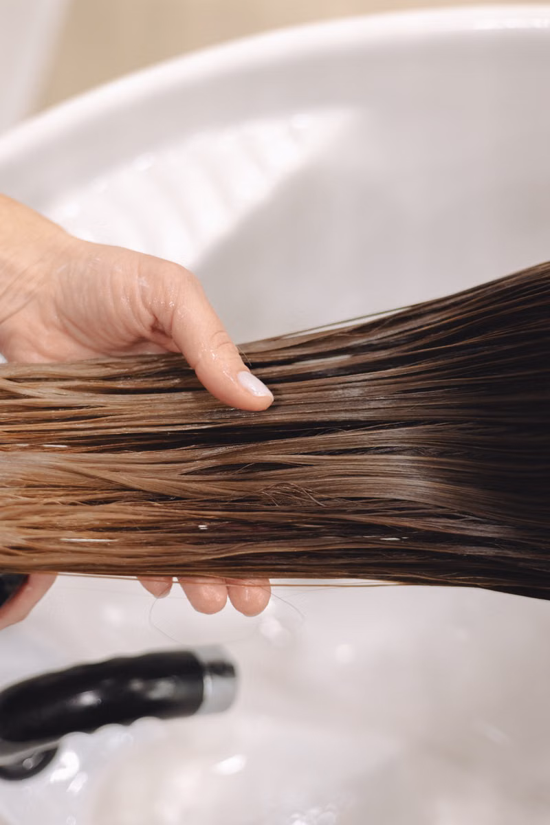 Close-up of careful detangling during dog grooming